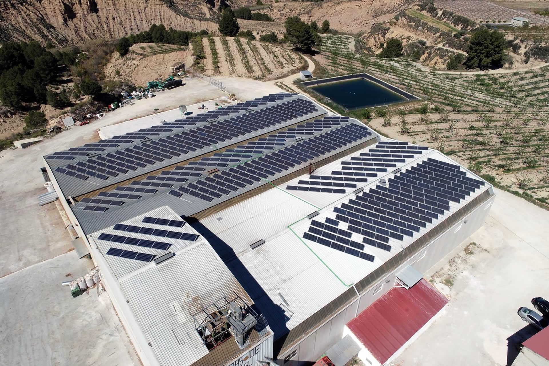 Instalación de autoconsumo en Almendras Pliego, Murcia - Eidf Solar