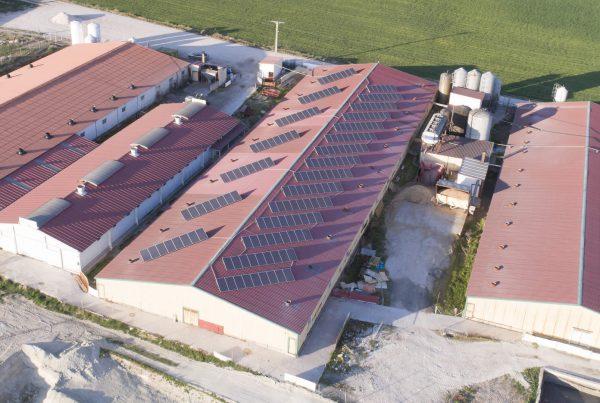Instalación de autoconsumo en Granja Baeza, Segovia - Eidf Solar